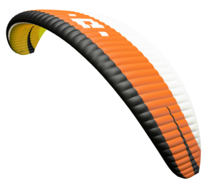 Orca 6